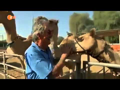 Dubai   Das Übermorgenland Zdf Dokumentation 2015