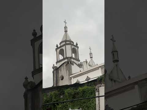 Iglesia Catolica Nuestra Señora De Guadalupe De Nuevo Progreso S.M