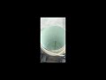 Thumbnail image 4