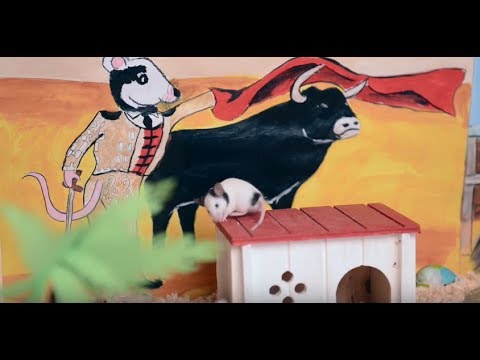 VAN zenekar - Andalúziai egér / Andalusian Mouse