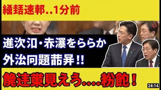 豊田真由子（参政党）が高市総理・小泉大臣・赤澤大臣に怒涛の質疑！「真の国益」問う一問一答にネット騒然 #参政党 #豊田真由子 #政治ニュース