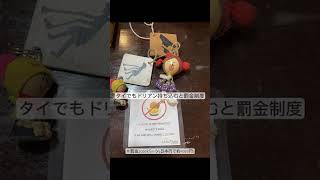 【子連れ旅のリアル】チェンマイで楽しむ“体験重視”の家族旅行！