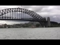 Shark in Sydney Harbour 