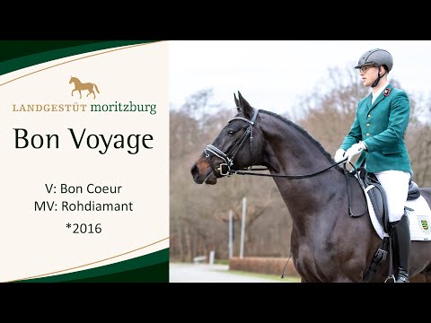 BON VOYAGE v. Bon Coeur - Rohdiamant 2023