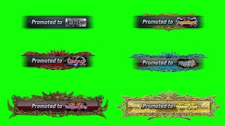 Tekken 8 all ranks "promoted to" green screen