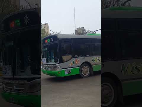 Linea 197 int. 65 (Italbus Tropea)