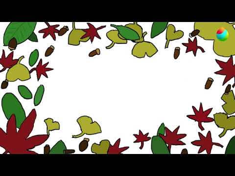 【タイムラプス】背景素材　秋のじゅうたんのタイムラプス