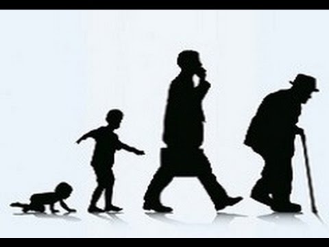 (2017! Doku) Xenius: Demografie - Wie zuverlässig ist sie? (HD)