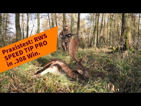 RWS SPEED TIP Professional .308 Win. in practical testing: Experiences of a professional hunter