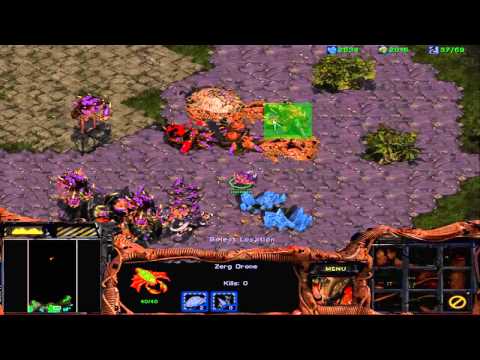 Let's Play Starcraft 20: Zerg Mission 10 - Full Circle