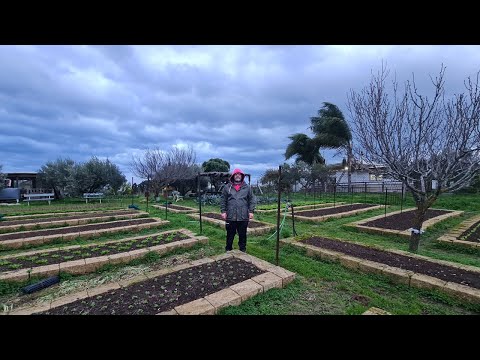 Can Our Farm in Sicily Survive Cyclone Harry?