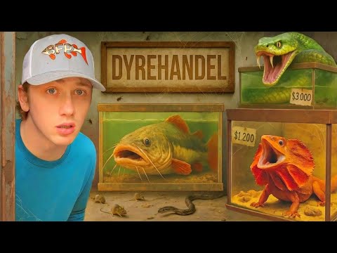 Jeg opdagede en efterladt dyrebutik!