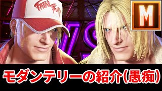 モダンテリーをオススメしない理由...強みと弱みについて。