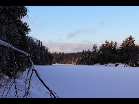 Tisonagan - La Bastringue