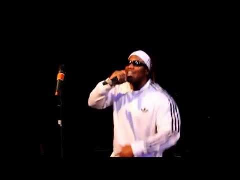 Avalanche The Architect - Got Your Self A Gun