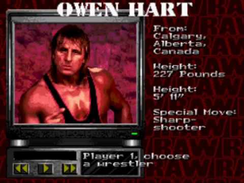 wwf raw genesis rom cool