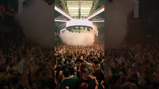 Seth Troxler Amnesia Opening 2026
