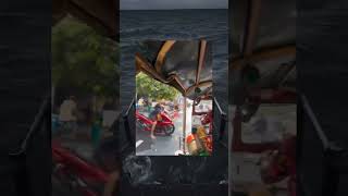 Download lagu langsung kena ulti🗿 #memes #meme #fyp mp3 Download lagu langsung kena ulti🗿 #memes #meme #fyp mp3