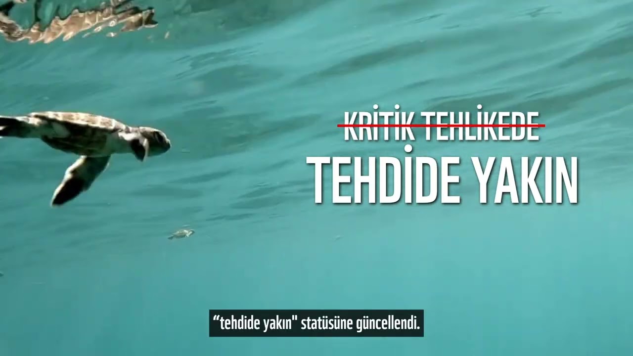 Birlikte Başardık 2025