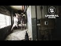 Unreal Engine 5 5 RTX 5090 Ray Tracing