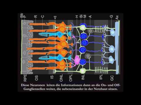 Optische Täuschungen  1-5  Teil-2  Siddhi Art