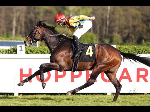 Berlin: Preis von Dahlwitz (L)  2019 - Sieger: Be My Sheriff