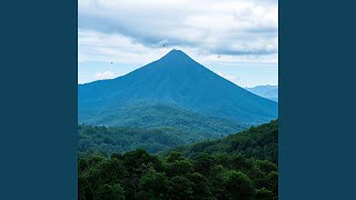 Download lagu Bukit berbunga mp3