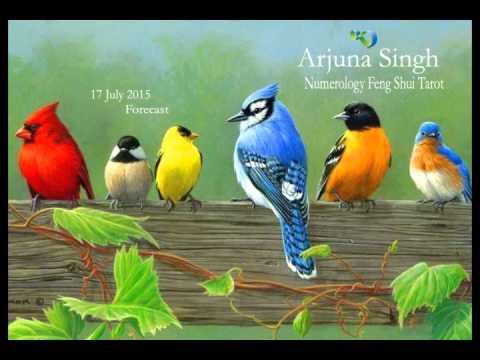 17 July 2015 - Numerology Forecast - Arjuna Singh