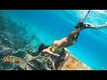 Shipwreck Sexy BIKINI Dive Swimming Underwater Beautiful Marine Environment Mandalay Wreck