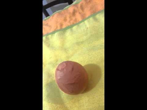In che funghi di distinzione di un saprofitama e parassiti Uova di vermi da metodo ptsr