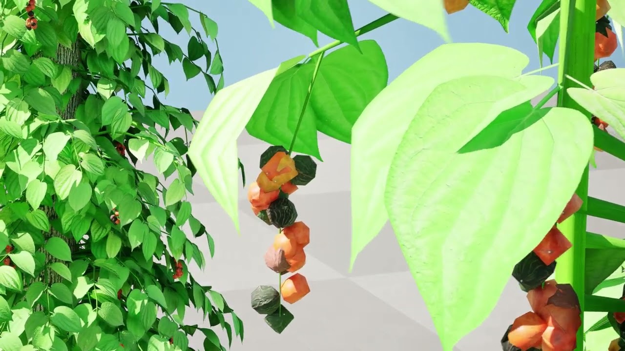 Videira de pimenta preta sul-africana Modelo 3D