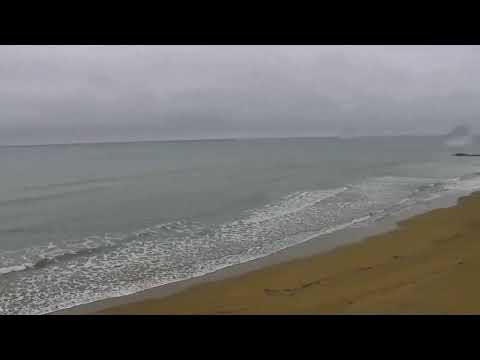 LIVECAM CHIOSCO AI PINI - JESOLO PINETA