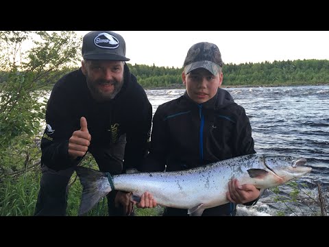 Kalakingi nappasi 10kg lohen - Lohenkalastus - Matkakoski - Tornionjoki - Eumer Fishing