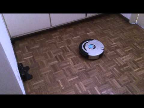 Trisa robo clean going back home