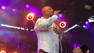 Mountain Chocolate Starfish Star1045Live Gosford 4/11/17