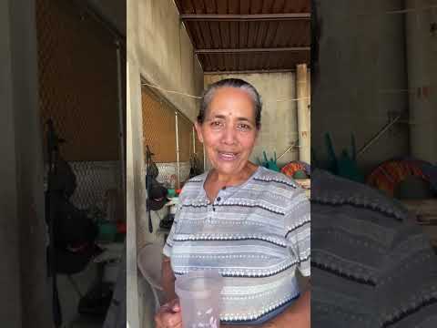 Desde el municipio de la Libertad Peten, Guatemala 🇬🇹