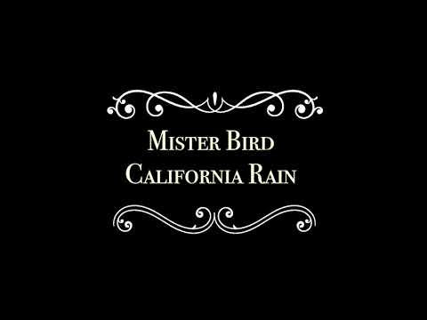 Mister Bird .   California Rain