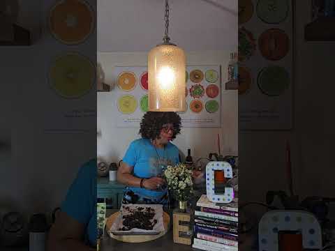 Chocolate Pistachios 🍫 🥜🫕 