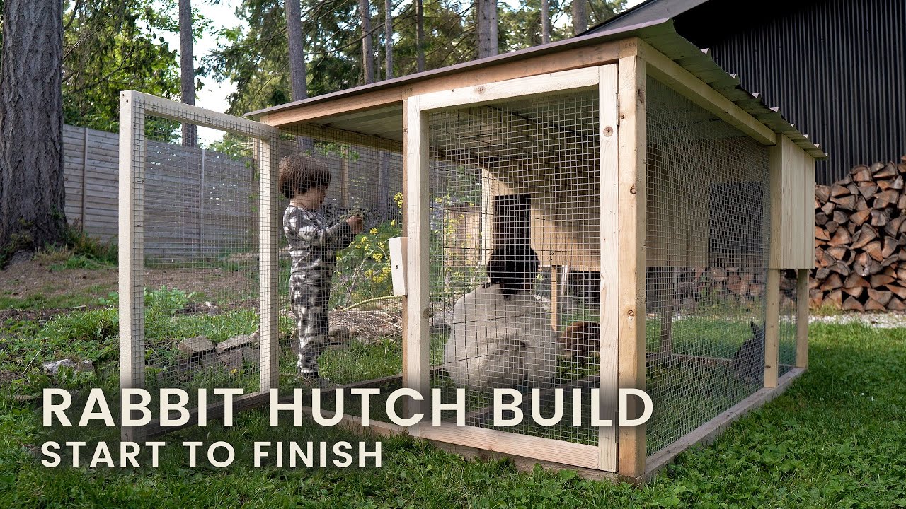 How to build an outdoor rabbit habitat? Tipseri