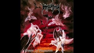 Immolation - Despondent Souls