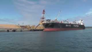 preview picture of video 'Daio Excelsior - bulk wood chip cargo ship'