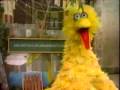 Big Bird Is The Word Big Bird Sings Surfin Bird