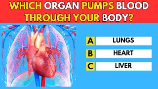 General Knowledge Quiz Multiple Choice!