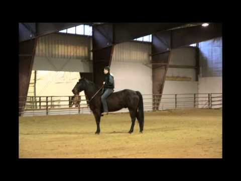 EhCapa First Practices of the year.