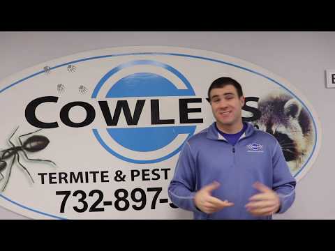 Tech Talk: All About the Winter Inspection