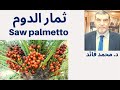 الدكتور محمد فائد  || ثمار الدوم  تسجيل حي