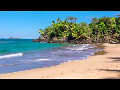Olas del Paraíso - Playa Hermosa con Sonidos Relajantes del Mar sin Música