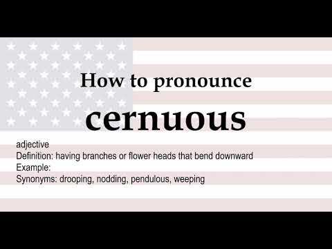 cernuous