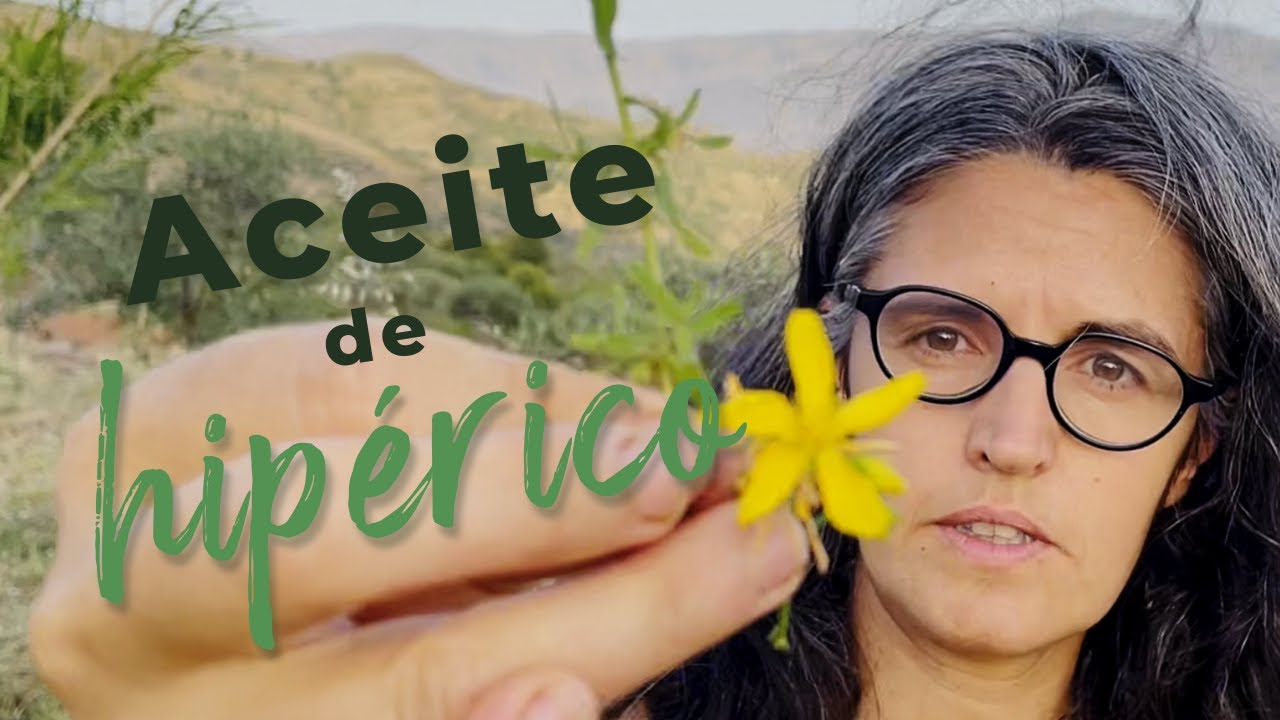 ¿Cómo hacer aceite de hipérico y qué propiedades tiene [Episodio 61]