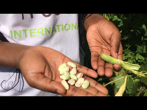 Rescue & Protect Animals in Rural Uganda